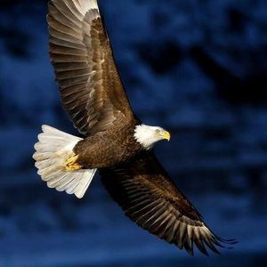 Meet your Posher, Mariah